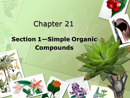 Section 1—Simple Organic Compounds