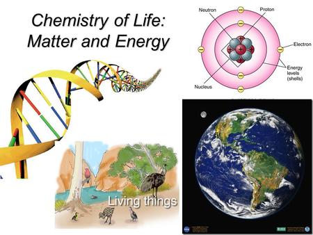 Chemistry of Life: Matter and Energy