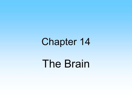 Chapter 14 The Brain. Medulla Oblongata Regulates heartbeat and respirations Blood vessel diameter Decussation Reflexes: –Swallowing –Vomiting.