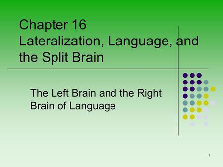 The Left Brain and the Right Brain of Language