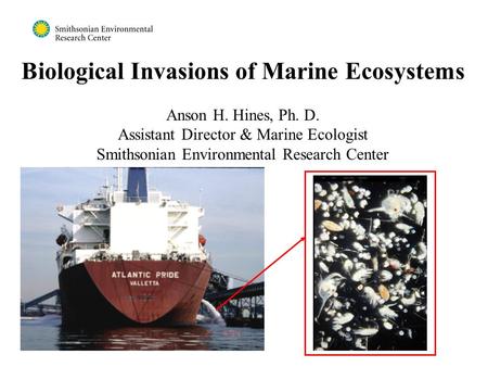 Biological Invasions of Marine Ecosystems Anson H. Hines, Ph. D. Assistant Director & Marine Ecologist Smithsonian Environmental Research Center.