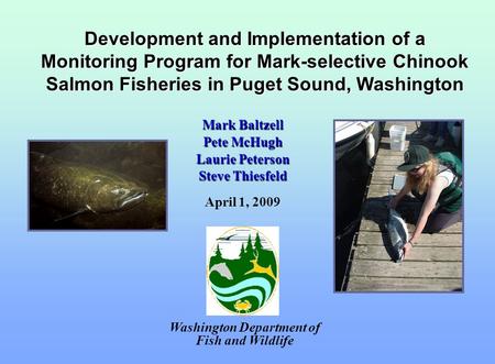 Development and Implementation of a Monitoring Program for Mark-selective Chinook Salmon Fisheries in Puget Sound, Washington Washington Department of.