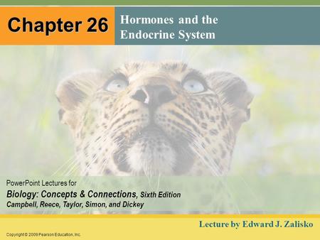 Hormones and the Endocrine System