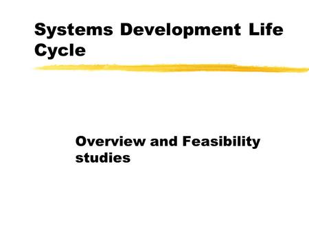 Systems Development Life Cycle