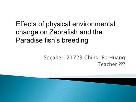 Speaker: 21723 Ching-Po Huang Teacher:??? Effects of physical environmental change on Zebrafish and the Paradise fish’s breeding.