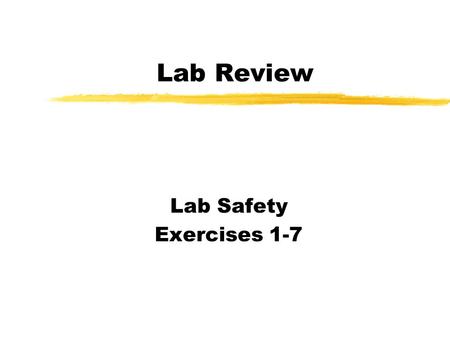 Lab Review Lab Safety Exercises 1-7. Lab Safety z Name and Explain the 9 rules of Laboratory Set-up. z Name and Explain the 6 rules of Laboratory Clean-up.