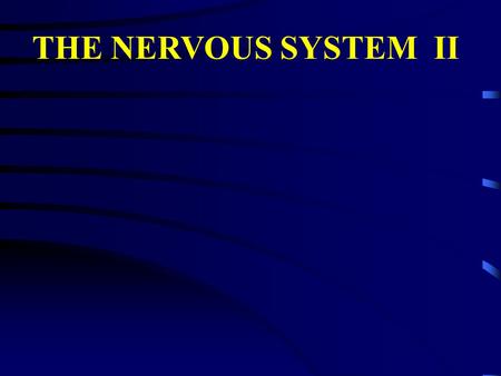 THE NERVOUS SYSTEM II.