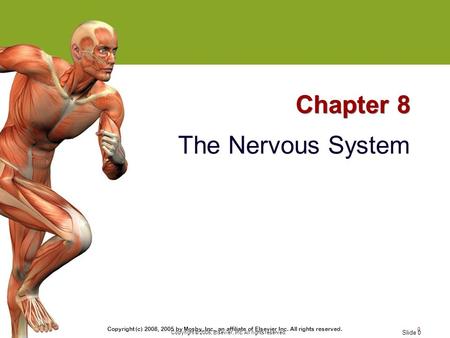 0 Copyright (c) 2008, 2005 by Mosby, Inc., an affiliate of Elsevier Inc. All rights reserved. Copyright © 2005, Elsevier, Inc. All rights reserved. Slide.