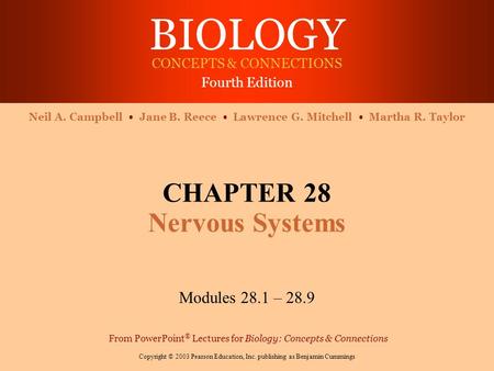 CHAPTER 28 Nervous Systems