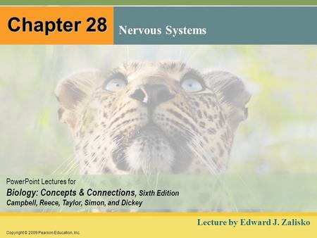 Copyright © 2009 Pearson Education, Inc. PowerPoint Lectures for Biology: Concepts & Connections, Sixth Edition Campbell, Reece, Taylor, Simon, and Dickey.