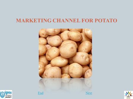 MARKETING CHANNEL FOR POTATO NextEnd. MARKETING CHANNEL FOR POTATO Introduction India's production of potato is about 224 lakh MT. The production is largely.