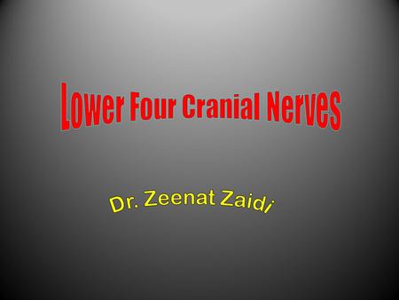 Lower Four Cranial Nerves