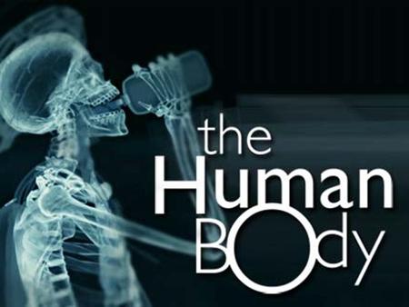 The Human Body.