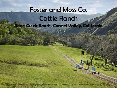 Foster and Moss Co. Cattle Ranch