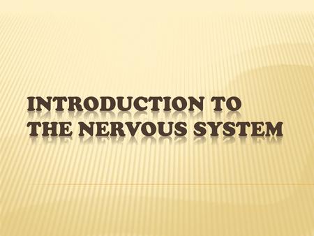  Sensory Function- Can sense a change in the body; hearing, seeing, smelling, taste, touch (pressure, pain, cold etc) balance.  Integrative Function-