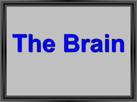 The Brain. l Key component of the Central Nervous System = CNS l Regulates body functions, control, senses, thought, communication, survival.