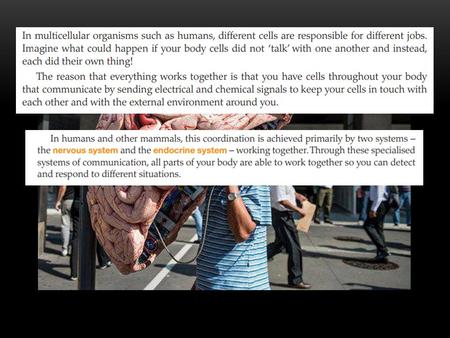 THE NERVOUS SYSTEM Definition: A network of billions of nerve cells linked together to form the rapid control center of the body. Main function: Integrating.