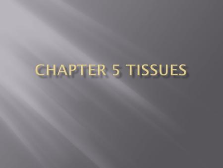 Chapter 5 Tissues.