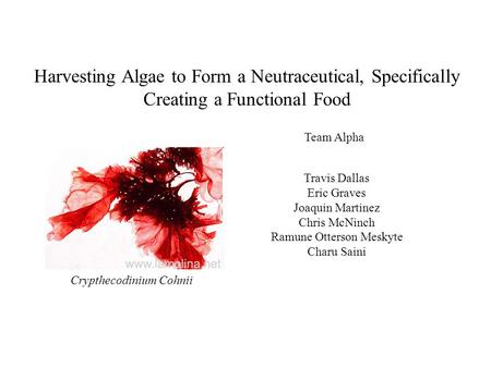 Harvesting Algae to Form a Neutraceutical, Specifically Creating a Functional Food Team Alpha Travis Dallas Eric Graves Joaquin Martinez Chris McNinch.