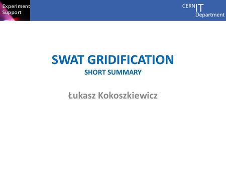 SWAT gridification short summary