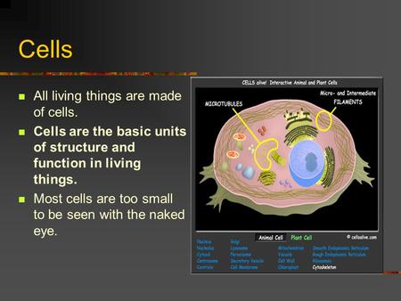 Cells All living things are made of cells.