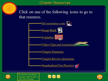 To return to the chapter summary click Escape or close this document. Chapter Resources Click on one of the following icons to go to that resource. life.msscience.com.