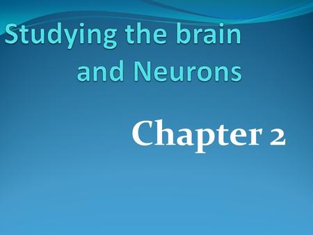 Studying the brain and Neurons