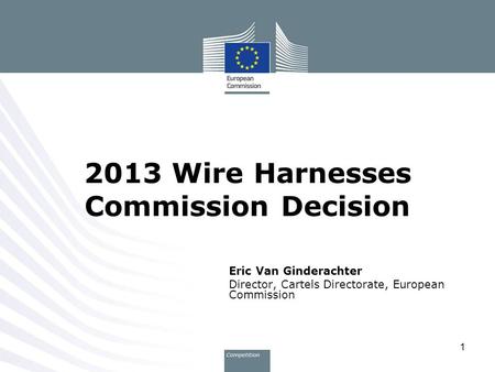 2013 Wire Harnesses Commission Decision