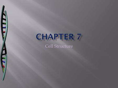 Chapter 7 Cell Structure.