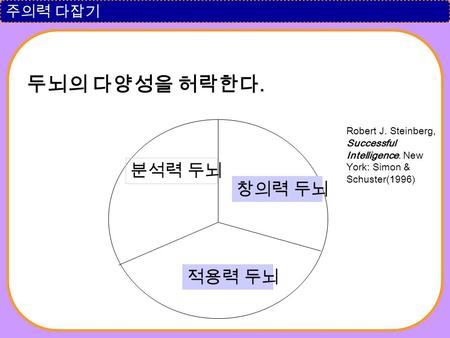 주의력 다잡기 두뇌의 다양성을 허락한다. 분석력 두뇌 적용력 두뇌 창의력 두뇌 Robert J. Steinberg, Successful Intelligence. New York: Simon & Schuster(1996)