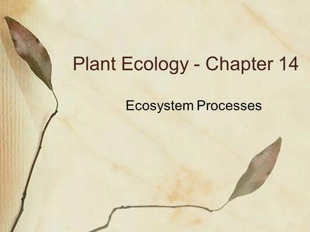 Plant Ecology - Chapter 14 Ecosystem Processes. Ecosystem Ecology Focus on what regulates pools (quantities stored) and fluxes (flows) of materials and.