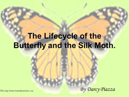 The Lifecycle of the Butterfly and the Silk Moth.