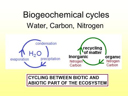 Biogeochemical cycles