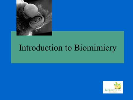 Introduction to Biomimicry. Where do ideas come from?