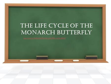 The Life Cycle of the Monarch Butterfly