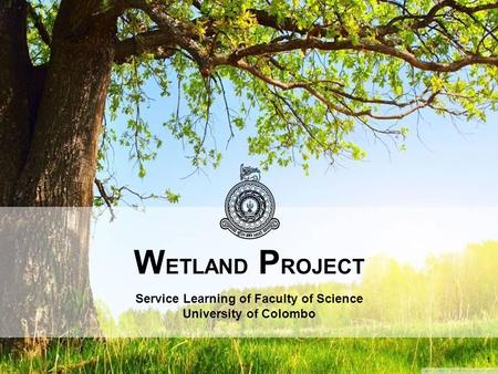 W ETLAND P ROJECT Service Learning of Faculty of Science University of Colombo 1.