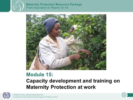 INTERNATIONAL LABOUR ORGANIZATION Conditions of Work and Employment Programme (TRAVAIL) 2012 Module 15: Capacity development and training on Maternity.