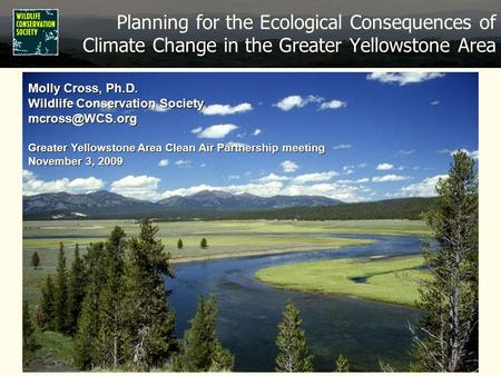 Planning for the Ecological Consequences of Climate Change in the Greater Yellowstone Area Molly Cross, Ph.D. Wildlife Conservation Society