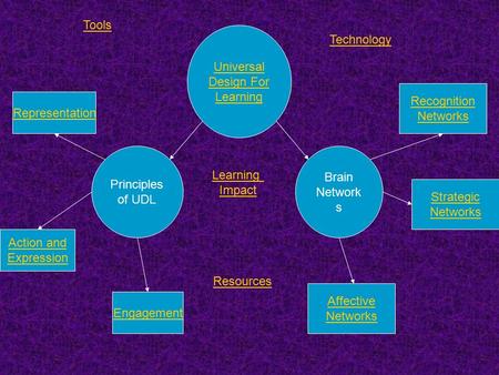 Universal Design For Learning Principles of UDL Brain Network s Representation Engagement Action and Expression Recognition Networks Affective Networks.