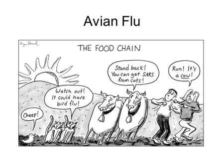 Avian Flu. Simplified Bird flu timeline 1997 1997 (HONG KONG) - 18 Hong Kong people infected by Avian influenza - Epidemic of bird flu in local poultry.