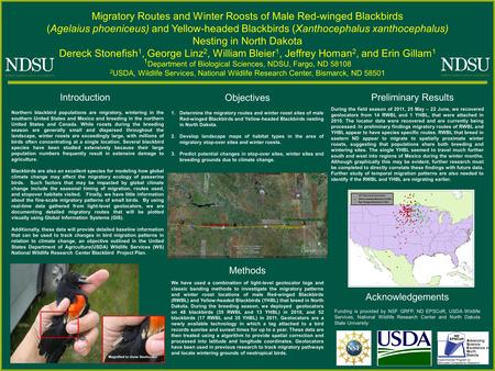 Migratory Routes and Winter Roosts of Male Red-winged Blackbirds (Agelaius phoeniceus) and Yellow-headed Blackbirds (Xanthocephalus xanthocephalus) Nesting.