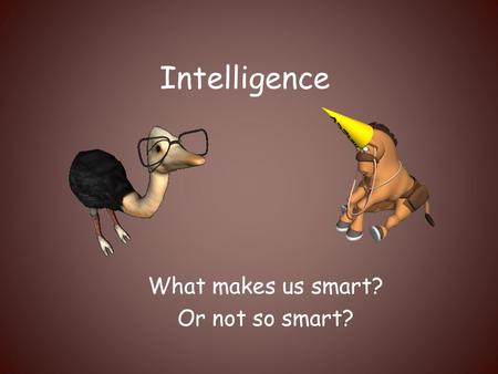 What makes us smart? Or not so smart?