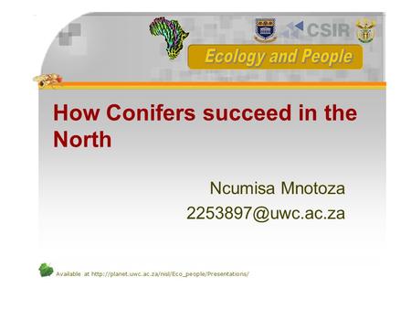 Available at  How Conifers succeed in the North Ncumisa Mnotoza