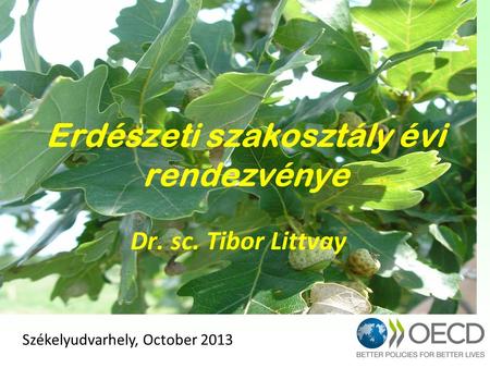 Erdészeti szakosztály évi rendezvénye Dr. sc. Tibor Littvay Székelyudvarhely, October 2013.