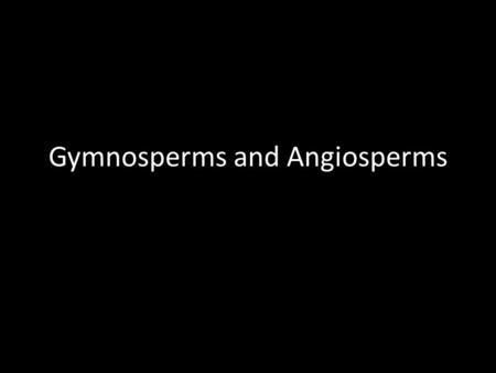 Gymnosperms and Angiosperms. GymnospermsAngiosperms 1. Seeds 2. Leaves 3. Reproduction 4. Example 5. Quick Drawing 1. Seeds 2. Leaves 3. Reproduction.