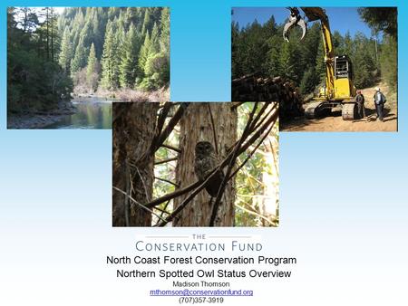 North Coast Forest Conservation Program Northern Spotted Owl Status Overview Madison Thomson (707)357-3919.