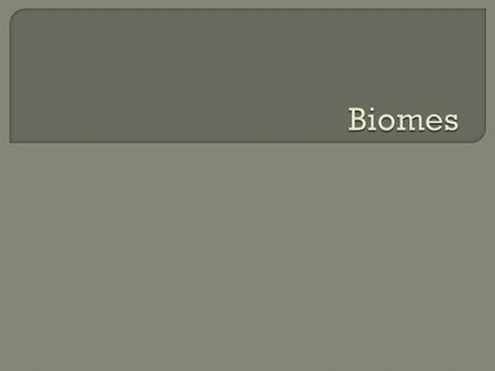  Marine vs. freshwater Marine – saltwater Freshwater – rivers, lakes, etc.  Photic zone vs. Aphotic zone Photic zone – light penetrates, higher biodiversity.