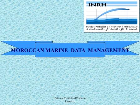 National Institute of Fisheries Research MOROCCAN MARINE DATA MANAGEMENT.