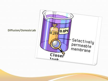 Diffusion/Osmosis Lab