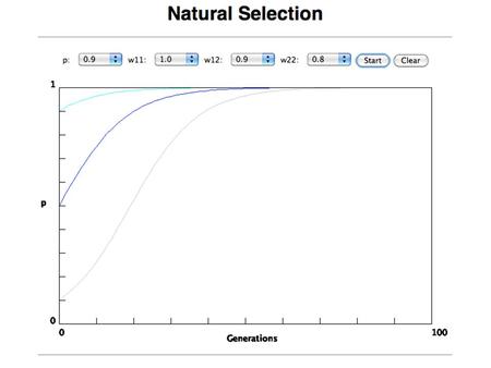 In the deterministic model, the time till fixation depends on the selective advantage, but fixation is guaranteed.